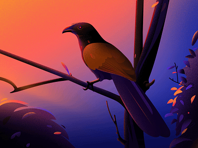 Greater coucal birds blue colour coucal evening illustraion illustrations illustrator india kerala landscape light nature project tree vector