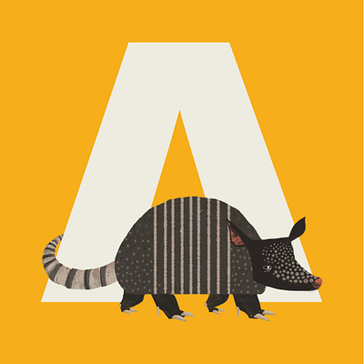 A is for Armadillo alphabet animals character digital illustration graphic grays illustration letters texture white yellow