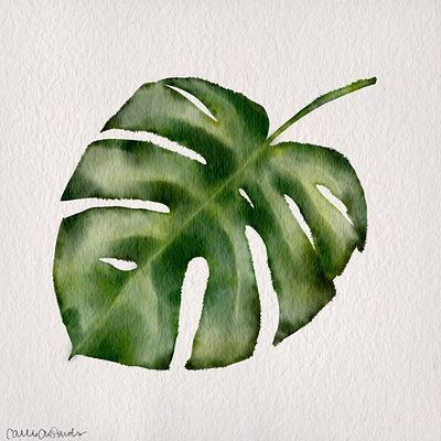 Monstera art design digital art digital painting procreate app