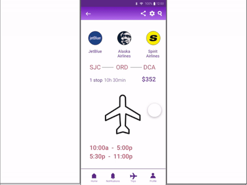 Flight Ticket 1a