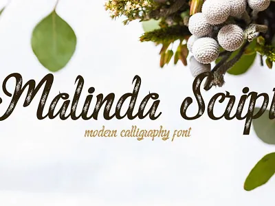 Malinda Script front font font family free font free fonts freebie freebies typeface typefaces typogaphy typography
