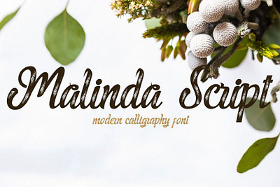 Malinda Script front font font family free font free fonts freebie freebies typeface typefaces typogaphy typography