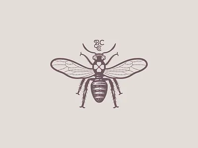 Bee 🐝 branding engraving etching graphic design illustration illustrator line art logo peter voth design