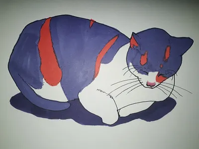 Cat cat freehand drawing illustration