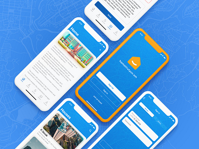 Hamatirutyun.am app login screen ios iphone xs ui uiux ux