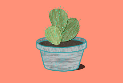 Cactus cactus illustration texture