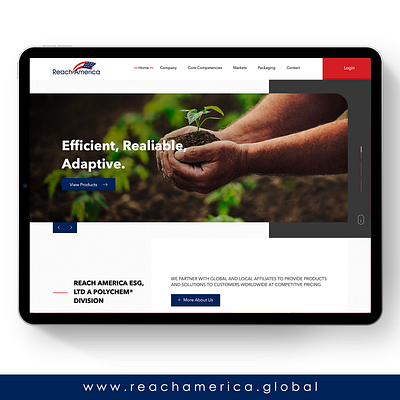 Reach America brand design guatemala prototype ui ux web web design webdesign website