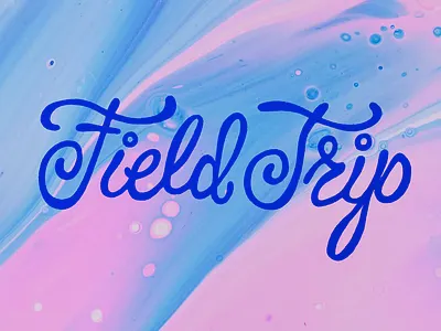 Field Trip Type funky logotype script type wonky