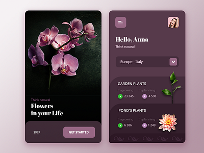 Flowers app design photoshop ui