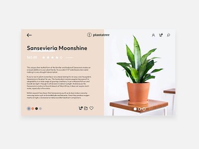 Plantatree E-Commerce Website adobexd app clean design fresh mockup mockup design modern photoshop plants ui uidesign userinterface