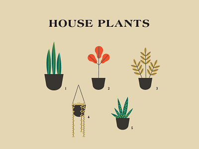 House Plants design illustration vector