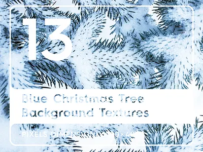 13 Blue Christmas Tree Background Textures background beauty blue christmas tree backgrounds blue christmas tree pattern blue christmas tree surface blue christmas tree texture brunch christmas evergreen fir forest green macro natural nature park tree white wood year