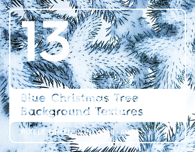 13 Blue Christmas Tree Background Textures background beauty blue christmas tree backgrounds blue christmas tree pattern blue christmas tree surface blue christmas tree texture brunch christmas evergreen fir forest green macro natural nature park tree white wood year