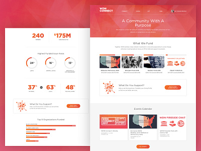 Women Donors Network color content strategy data visualization design nonprofit organization philanthropy responsive ui ux web design webdesign