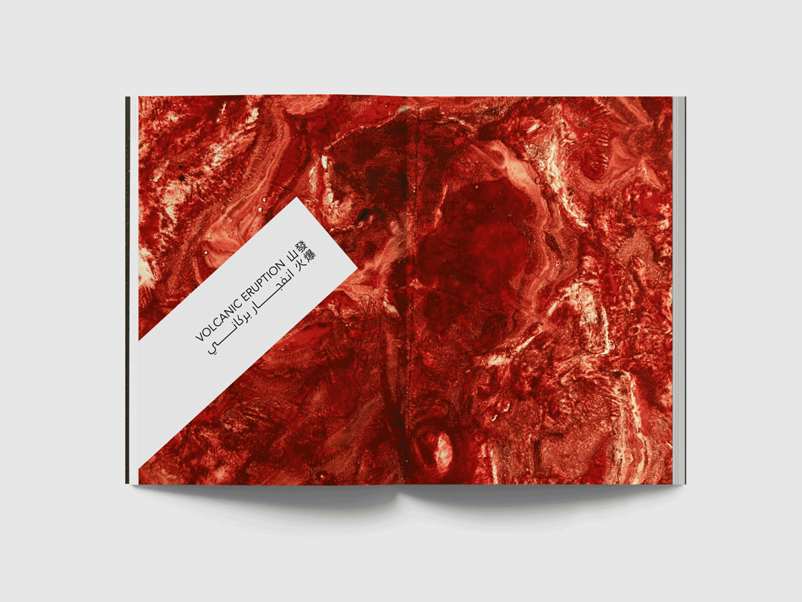 COLORS : A Trilingual Publication apocalypse editorial design marbled publication type