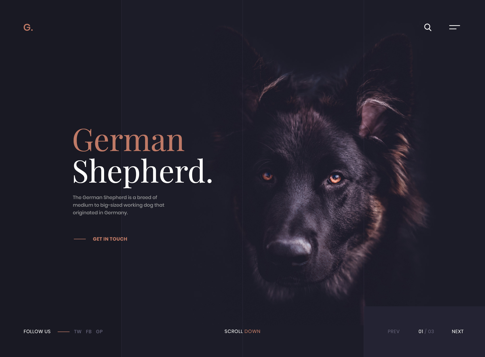 Example of German Shepherd Website Design