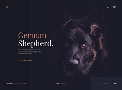 German Shepherd Website Design animal branding clean design designer dog dogs german shepherd inspiration ui ui design ux web web design web designer webdesign website website design websites