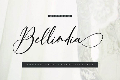 Bellidia Free Script Font font font family free font free fonts freebie freebies typeface typefaces typogaphy typography