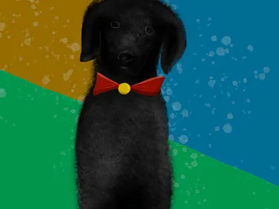 Black Teddy from friends digitalpaint illustration paint procreate