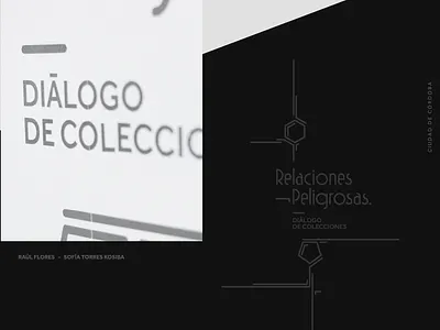 Branding branding design logo modular design typography