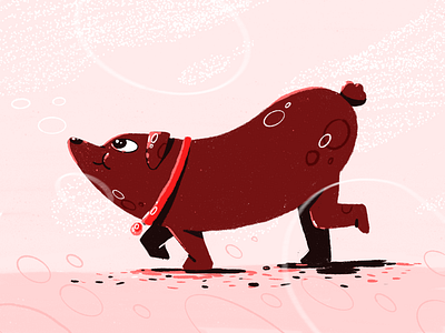 Sausage dog dog doggie doggy good boy procreate sausage sausage dog