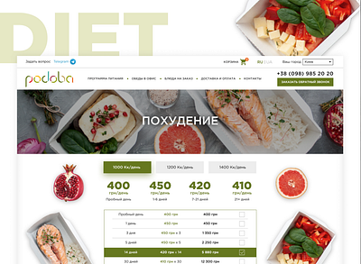 Healthy Food Delivery Website design ui ux web website