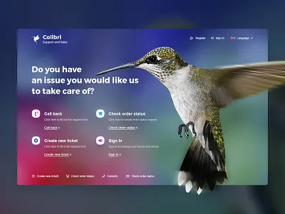colibri background colibri design photoshop uidesign web webdesign website