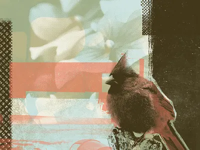 Collage bird camp cardinal collage collage art collageart halftone print tent texture tree