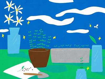 Record the planting process flower illustration plant