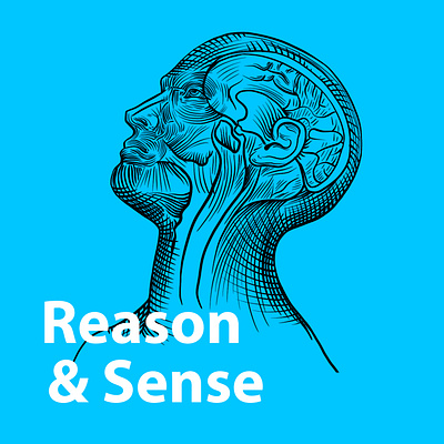 Reason & Sense ai ai logo human mind illustration ilyas reason sense test uighur uyghur