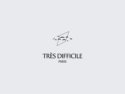 Très Difficile - Beauty products from Paris beauty logo brand identity branding dailylogochallange geometric illustration logomark minimal photography logo vector