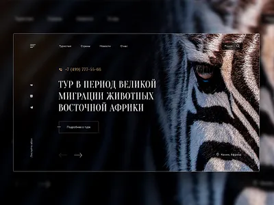 First screen | Shot animal design first screen landing landing page one page shot travel ui ux ux ui ux web web zebra