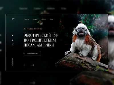 First screen | Shot design first screen landing landing page monkey one page photo travel ui ux ux ui ux web web