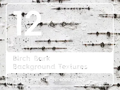 12 Birch Bark Background Textures background birch birch backgrounds birch bark backgrounds birch bark pattern birch bark surface birch bark textures birch pattern birch surface birch textures closeup lines material natural nature organic surface texture tree wooden