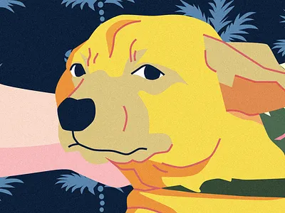 A Handsome Detail art cover art design dog dog illustration flat illustration illustration line art portrait vector