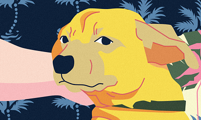 A Handsome Detail art cover art design dog dog illustration flat illustration illustration line art portrait vector