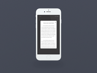 Terms and Conditions app dailyui design sketch ui ux