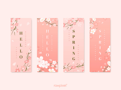 Hello Spring : Banner banner cherryblossom graphic illustration pastel pink sakura spring