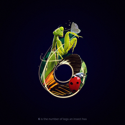 6 is for Insects 36daysoftype adobe alphabetdesign art design digitalart illustration