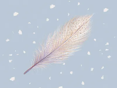 Owl Plume blue childrens book childrens illustration crayon illustration ipadpro kids kidsillustration minimal nature organic procreate texture texture brushes