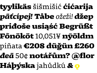 Dalma Typeface Family decorative diacritics display display typeface font serif text type typeface design typography