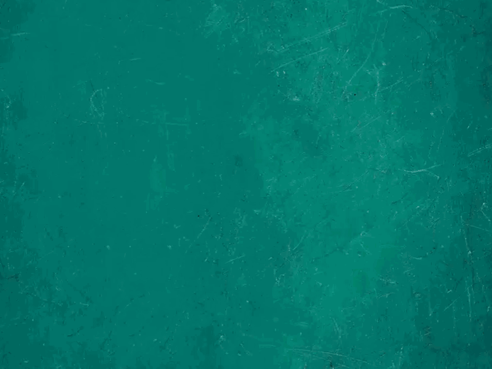 Splash - Mobile App after effect app lottiefiles mobile motion svg animation