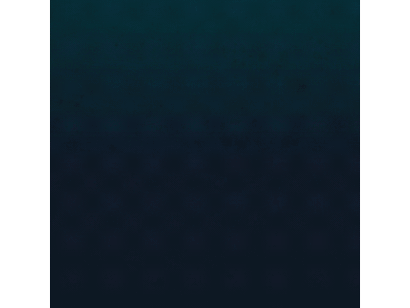 Abysse abysse aftereffects dark illustration illustrator kraken motion design motiongraphics