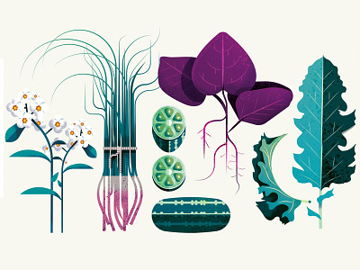 Strange Harvest flower food green illustrator ingredient leaf vector vegetables watermelon