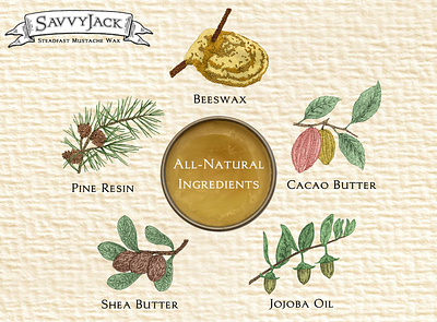 SavvyJack Ingredients on paper components cosmetics cosmetics logo drawing hand drawn handmade illustration illustration art illustration design illustration digital ingredients mustache wax personal rustic unique unique handcrafted illustration watercolor