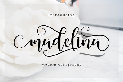Font Madelina Script calligraphy font design fonts fonts collection illustration lettering logo script typography web