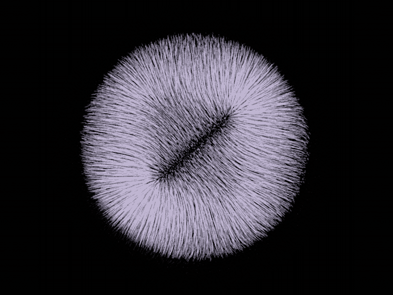 breath animal animal art animal logo animated gif black design furry hairy illustrator love motion motion design motiongraphics organic pet trippy wood