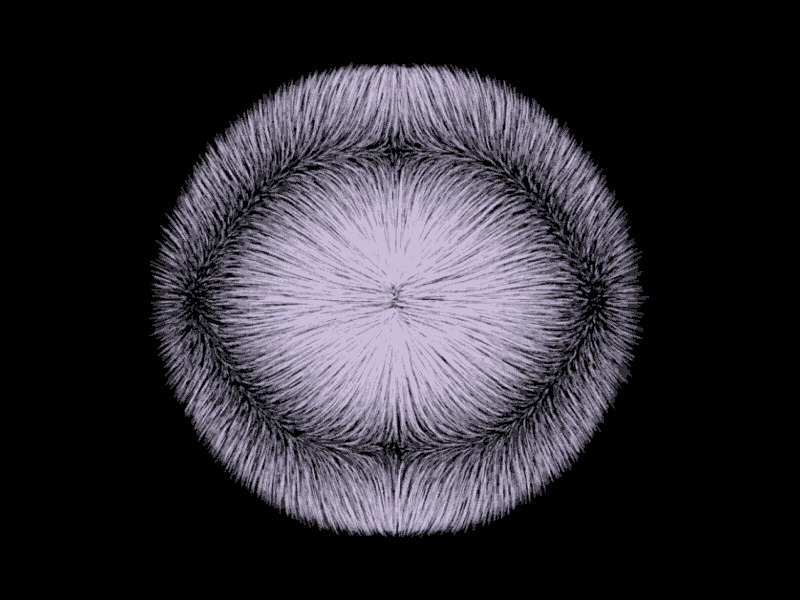 breathe animation animation 2d breath breathe breathing culture computer art digital art digital artwork hairs hypnotic lines logo loop magnetic media new organic psychadelic trippy