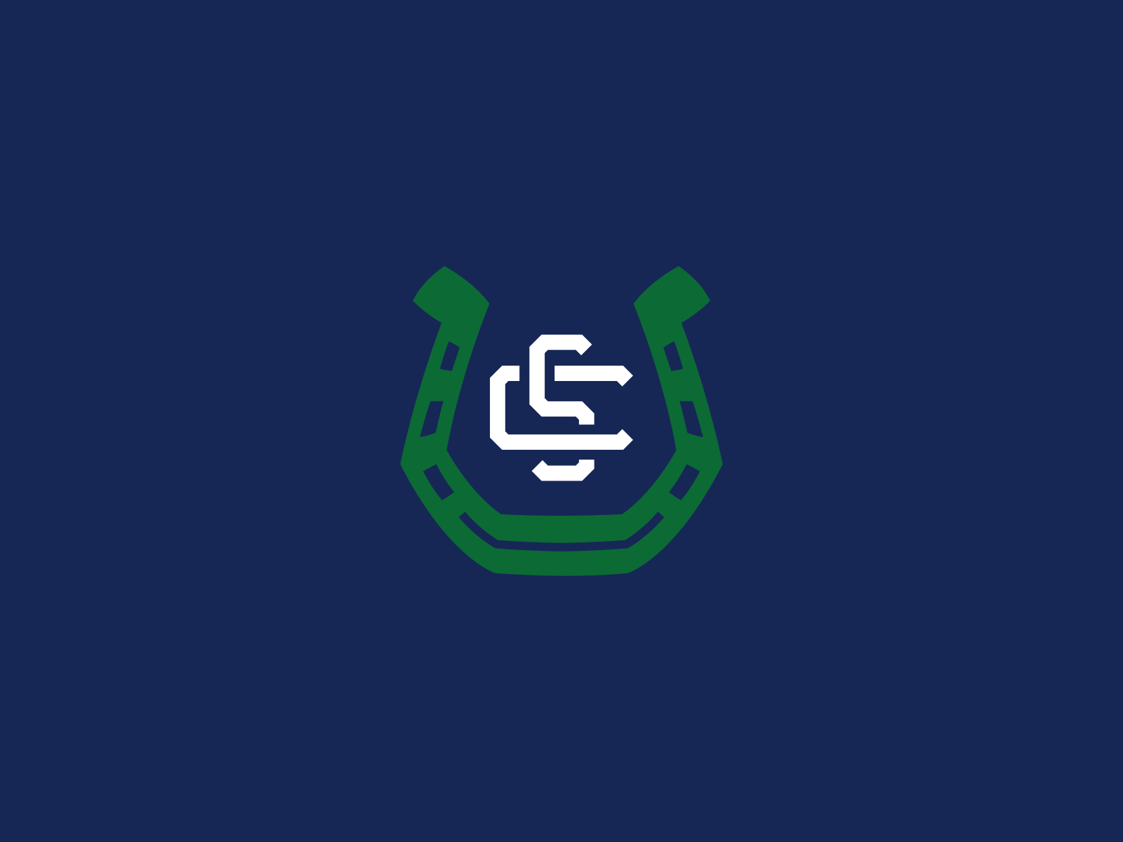 Example of Swift Current Broncos / Day 24 / August Rebranding Project