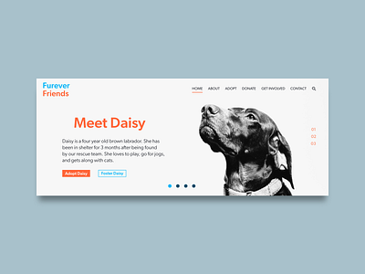 Furever Friends Hero animal shelter animals branding design header hero ui web web design